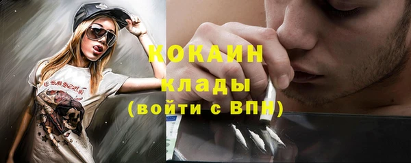 прущие грибы Алзамай