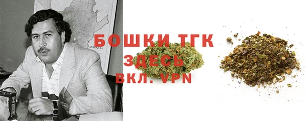 прущие грибы Алзамай